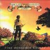 TIME HONOURED GHOSTS RE-MASTERED (CD)