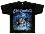 THE BARD SONG (TS)
