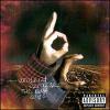 VIOLENT DEMISE: THE LAST DAYS (CD)