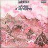 IN THE LAND OF GREY AND PINK REMASTERED (CD)