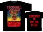 BOILING FLESH (TS)