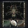 CORTICAL TECTONICS (CD US-IMPORT)