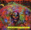 STRANGE AND BEAUTIFUL REISSUE (DIGI)