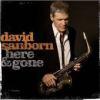 HERE & GONE (CD)