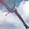 FREE REMASTERED (CD)