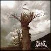 SHADES OF MISERY (CD)