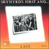 SKYNYRDS FIRST AND... LAST (CD)