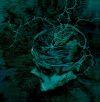 INSTINCT: DECAY RE-ISSUE (CD)