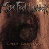 TRUE CARNAGE EXPORT (CD)