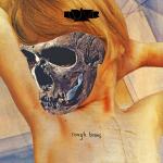 ROUGH TIMES (CD)