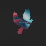 THIS IS GOODBYE LTD. EDIT. (CD O-CARD)