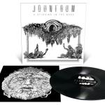 A STIRRING IN THE NOOS VINYL (LP BLACK)