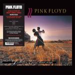 A COLLECTION OF GREAT DANCE SONGS VINYL RE-ISSUE (LP)