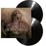 EXILE AMONGST THE RUINS VINYL (2LP BLACK)