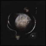 COLD BLACK SUNS LTD. EDIT. (DIGI)