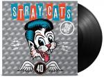 40 VINYL (LP BLACK+MP3)