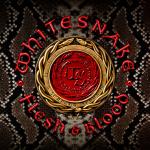 FLESH & BLOOD LTD. EDIT. (CD+DVD DIGI)