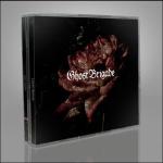 MMV-MMXX (4CD BOX)