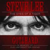 EYE OF THE TIGER - A TRIBUTE TO A LONG FORGOTTEN FRIEND