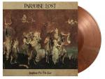 SYMPHONY FOR THE LOST MARBLED  VINYL REISSUE (2LP)