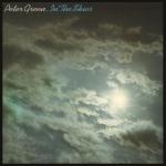 IN THE SKIES VINYL REISSUE (LP BLACK)