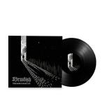 THEY OFTEN SEE DREAMS ABOUT THE SPRING VINYL (LP BLACK)