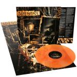 A PREDATORS PORTRAIT 2022 VINYL REPRINT (LP)
