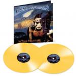IN YOUR MULTITUDE VINYL REISSUE (2LP)