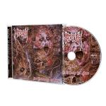 AN EPIPHANY OF HATE REISSUE (CD)
