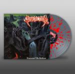 TRANSCEND THE RUBICON GREY/RED SPLATTER VINYL (LP)