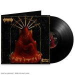 SHADES OF SORROW VINYL (LP BLACK)