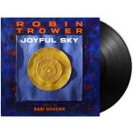JOYFUL SKY VINYL (LP)