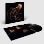 BACK TO THE WATER BELOW VINYL (LP)