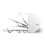 VARE REISSUE (DIGI)