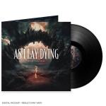 THROUGH STORMS AHEAD VINYL (LP BLACK)