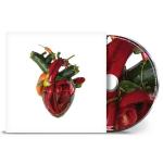 TORN ARTERIES JEWELCASE VERS. (CD)