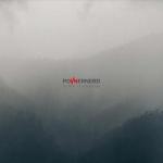 POWERNERD (CD)