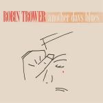 ANOTHER DAYS BLUES HQ VINYL REISSUE (LP)