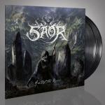 AMIDST THE RUINS VINYL (2LP BLACK)
