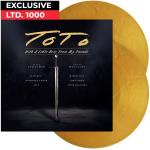 WITH A LITTLE HELP FROM MY FRIENDS GOLD VINYL (2LP)