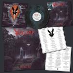 FREE SPIRIT SOAR GALAXY VINYL (LP)