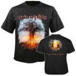SKYFORGER (TS)