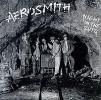 NIGHT IN THE RUTS REMASTERED (CD)