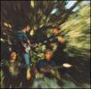 BAYOU COUNTRY 40 ANN. EDIT. (CD)