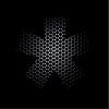 EXPERIMENTS IN MASS APPEAL (CD)
