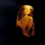NOTHING SAFE: BEST OF A BOX (CD)