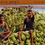 BANANAS (CD IMPORT)