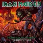 FROM FEAR TO ETERNITY: THE BEST OF 1990-2010 (2CD IMPORT)