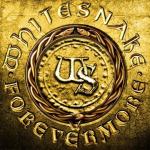 FOREVERMORE VINYL (2LP)