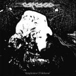 SYMPHONIES OF SICKNESS MMXX VINYL (LP)